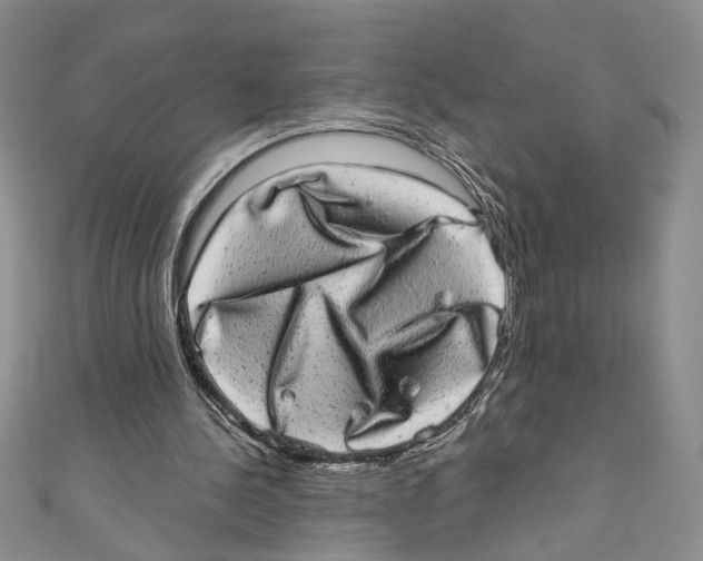 X0000110960244200907171655