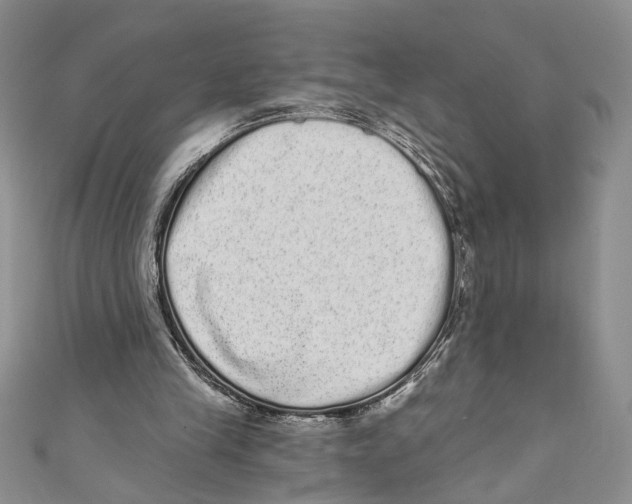 X0000110960245200907171655