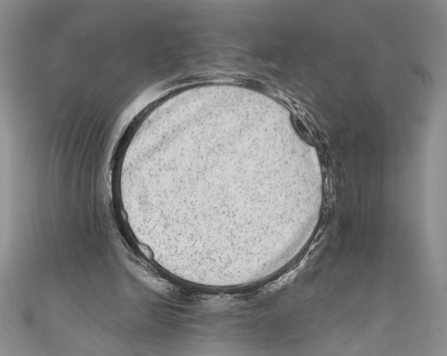 X0000110960246200907171655