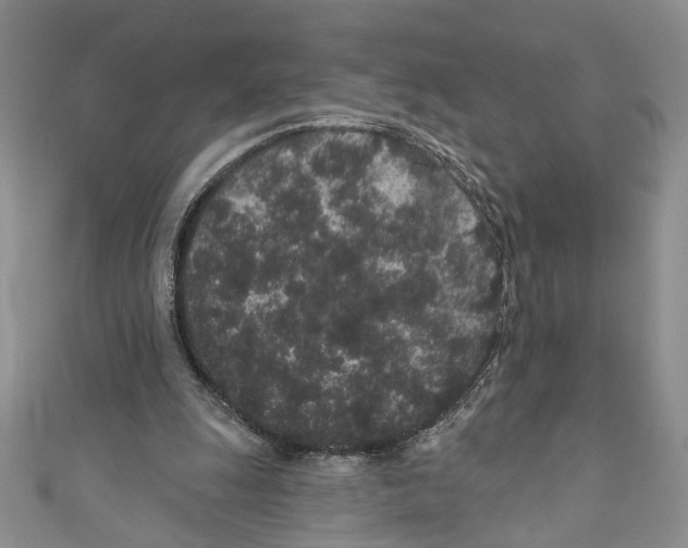 X0000110960247200907171655
