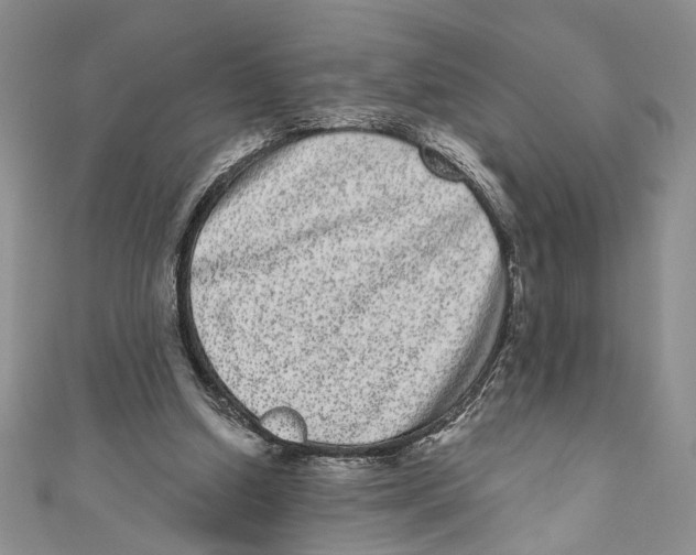 X0000110960250200907171655