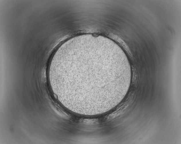 X0000110960251200907171655