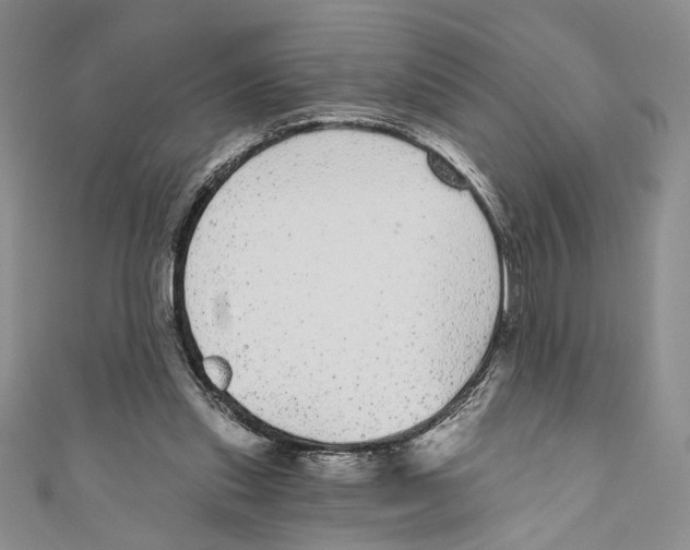 X0000110960253200907171655