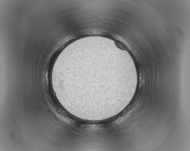 X0000110960254200907171655