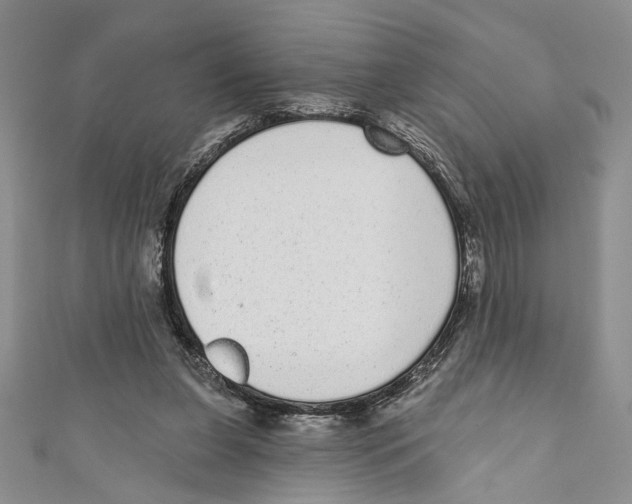 X0000110960255200907171655
