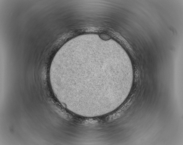 X0000110960257200907171655