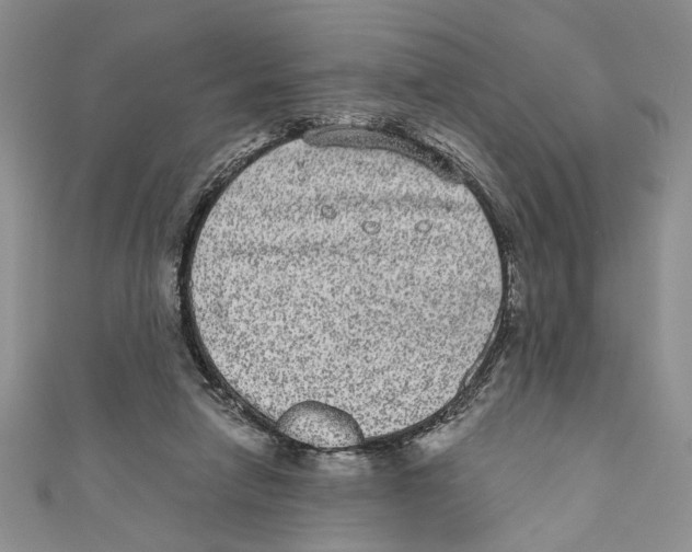 X0000110960258200907171655