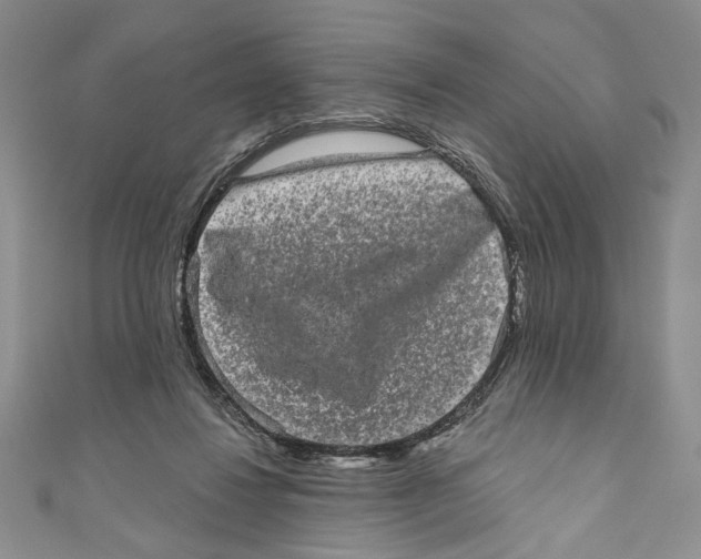 X0000110960260200907171655