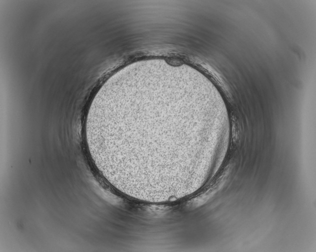 X0000110960261200907171655