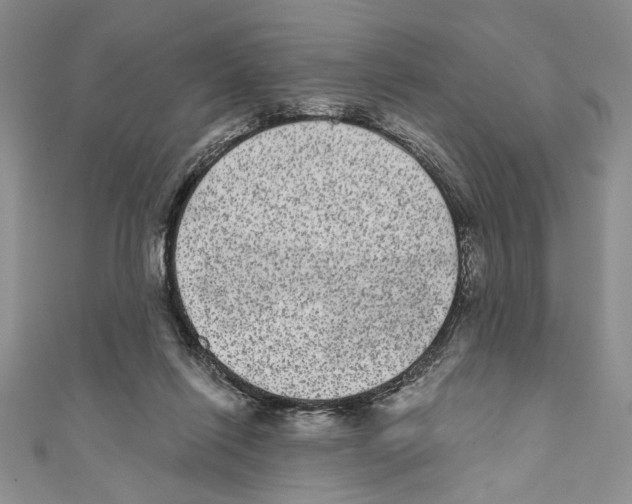 X0000110960262200907171655