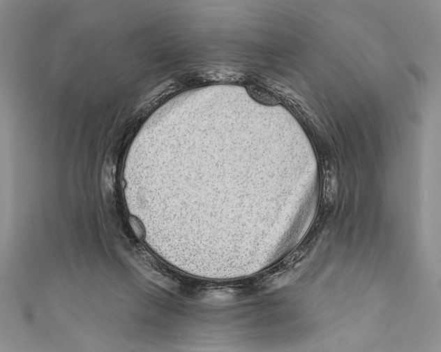 X0000110960263200907171655