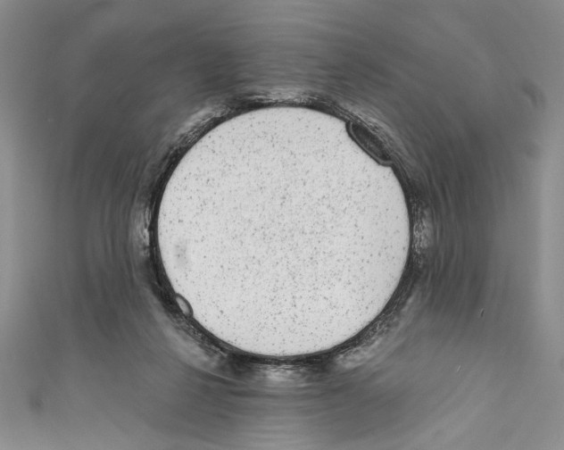 X0000110960264200907171655