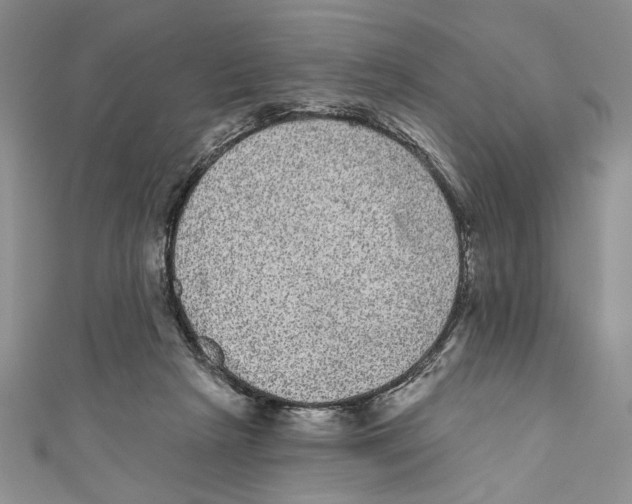 X0000110960265200907171655
