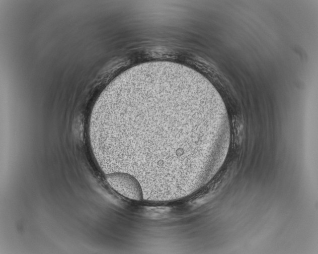 X0000110960266200907171655