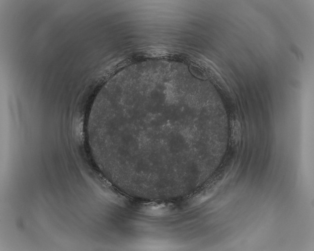 X0000110960267200907171655