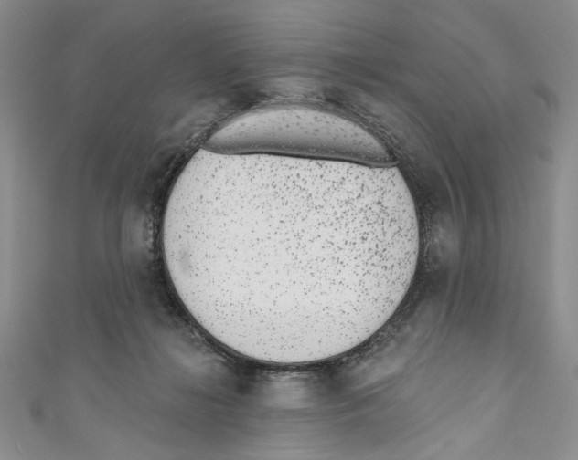 X0000110960268200907171655