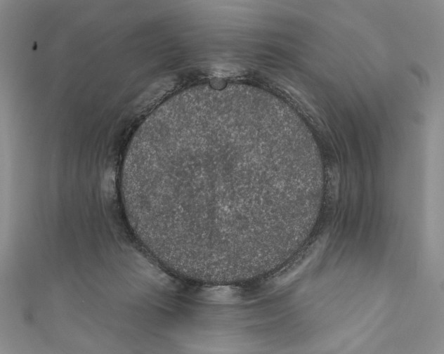X0000110960269200907171655