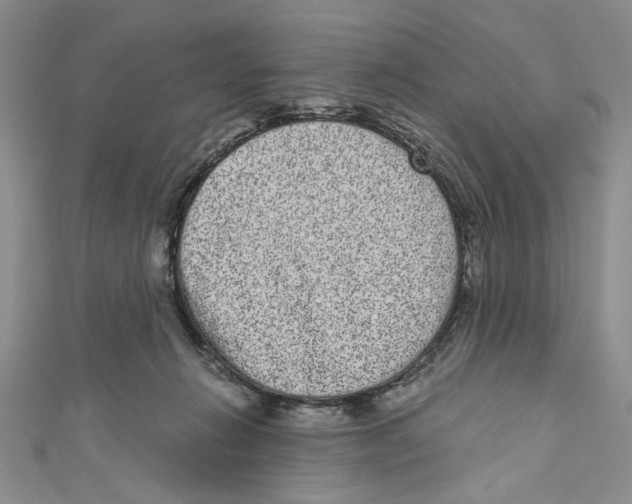 X0000110960270200907171655