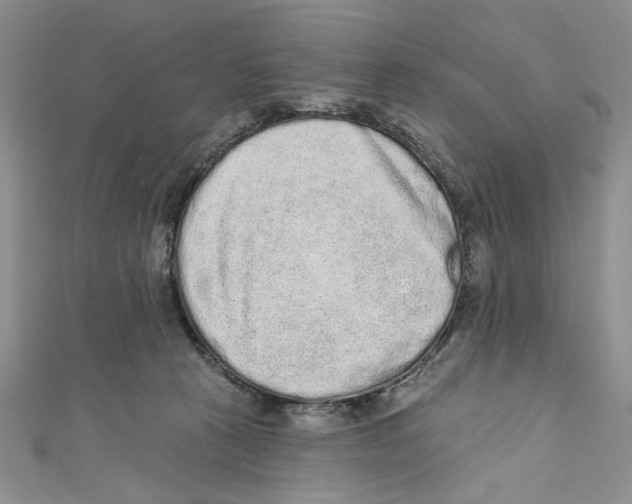 X0000110960273200907171655