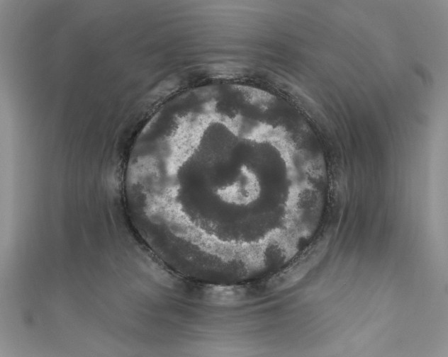 X0000110960277200907171655