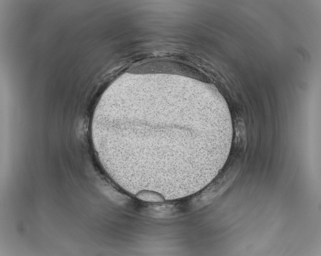 X0000110960278200907171655
