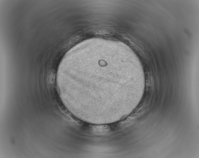 X0000110960281200907171655