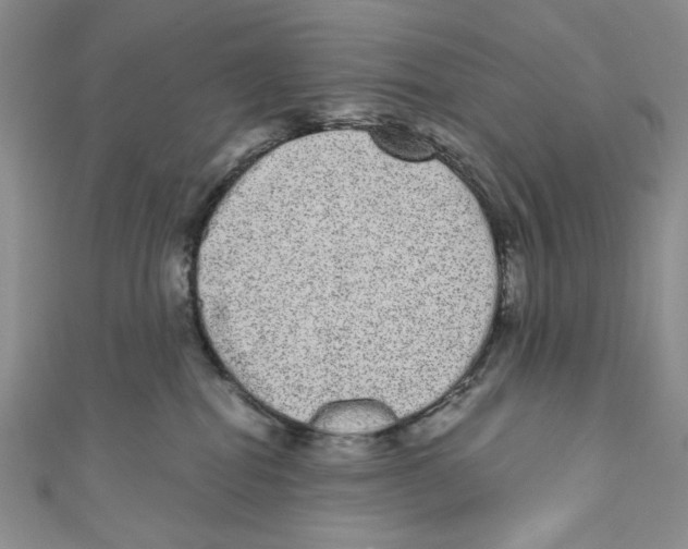 X0000110960282200907171655