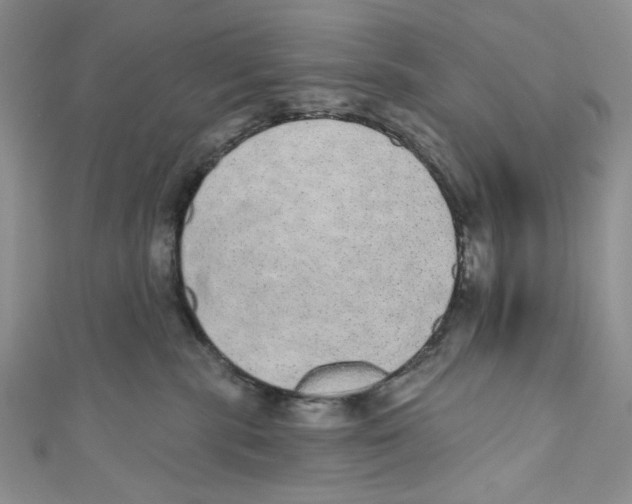 X0000110960283200907171655