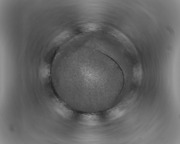 X0000110960284200907171655