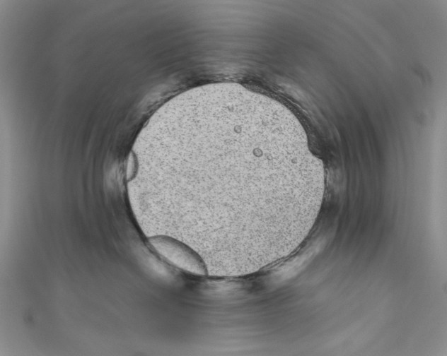 X0000110960286200907171656