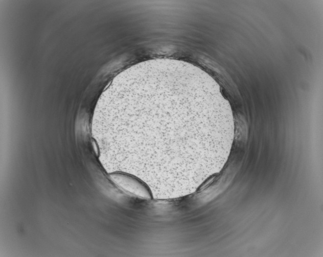 X0000110960287200907171656