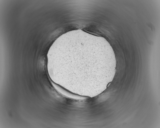 X0000110960288200907171656