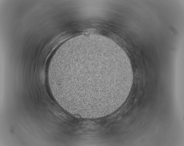 X0000110960290200907171655