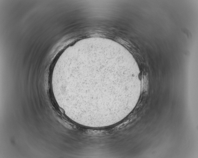 X0000110960291200907171655