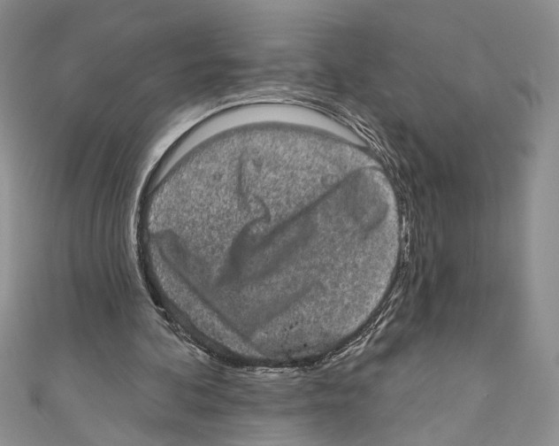 X0000110960292200907171655