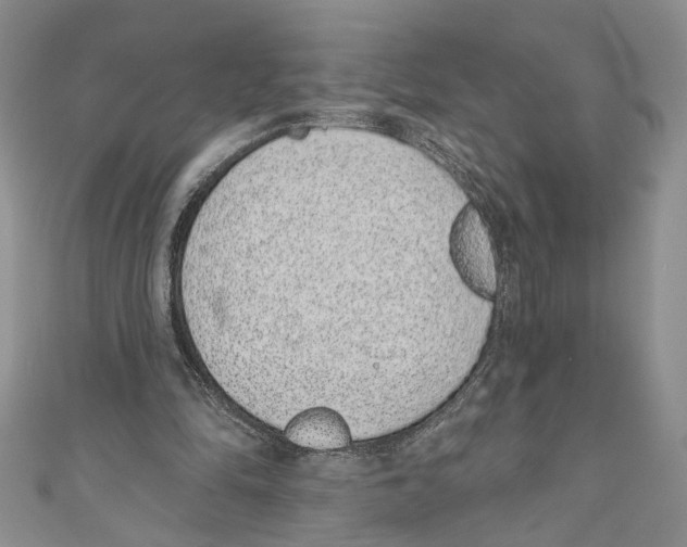 X0000110960294200907171655