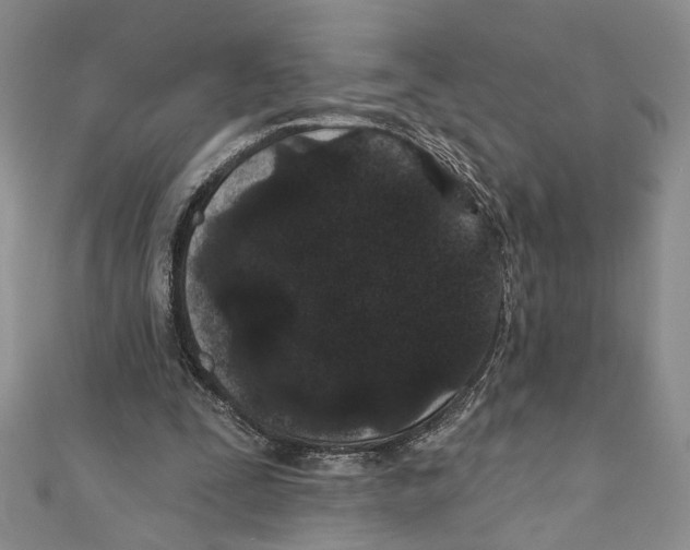 X0000110960295200907171655
