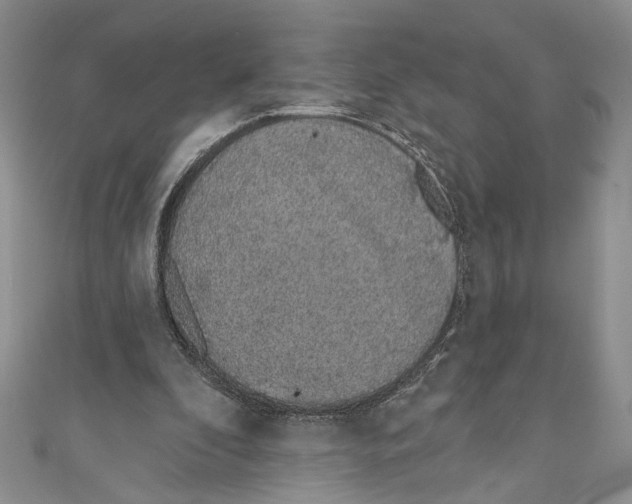 X0000110960296200907171655