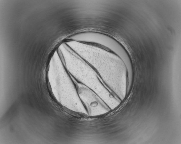 X0000110960297200907171655