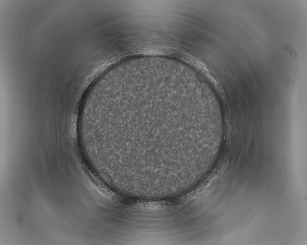 X0000110960299200907171655