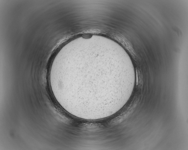 X0000110960300200907171655