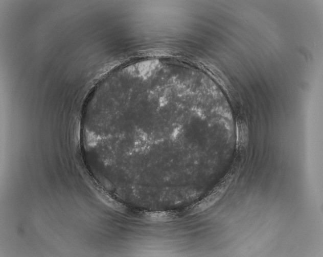X0000110960301200907171655