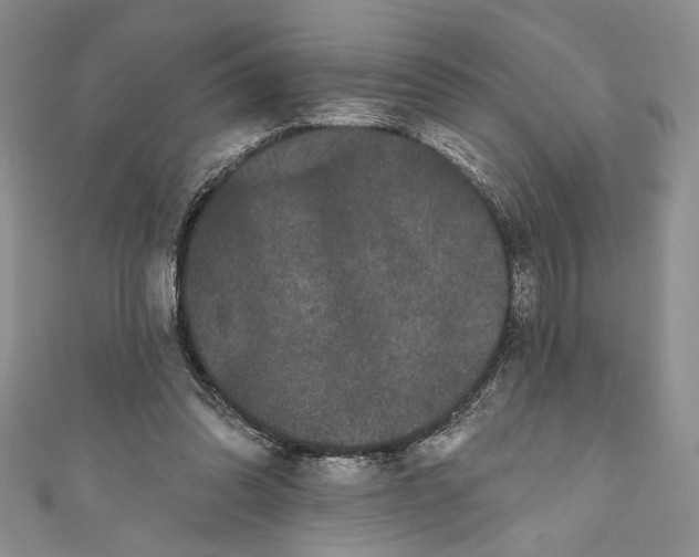 X0000110960302200907171655