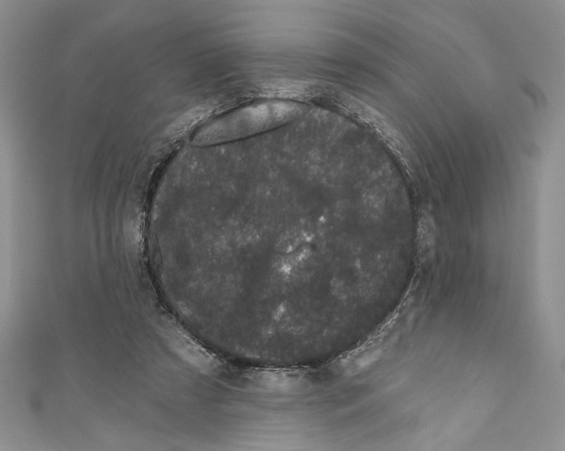 X0000110960305200907171655