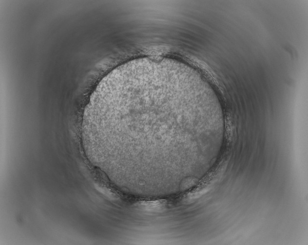 X0000110960307200907171655