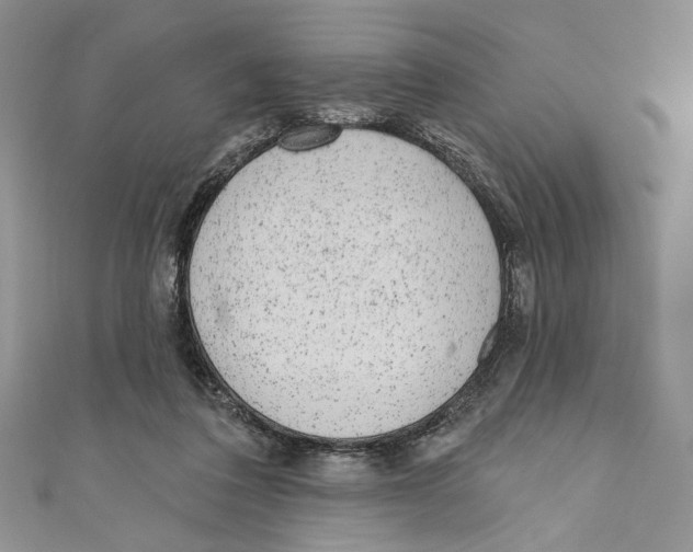 X0000110960308200907171655