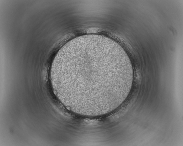 X0000110960311200907171655