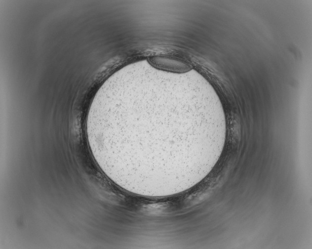 X0000110960312200907171655