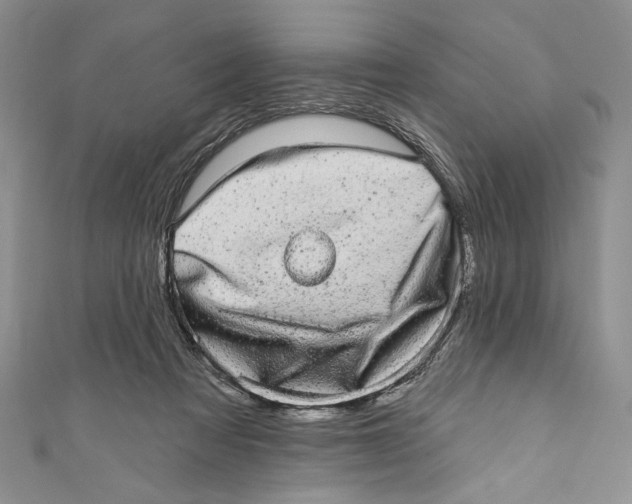 X0000110960313200907171655