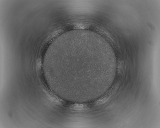 X0000110960314200907171655